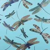 Dragonfly Dance
