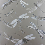 Dragonfly Dance